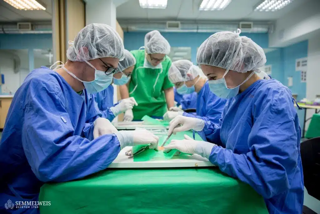 Humanmedizin Budapest