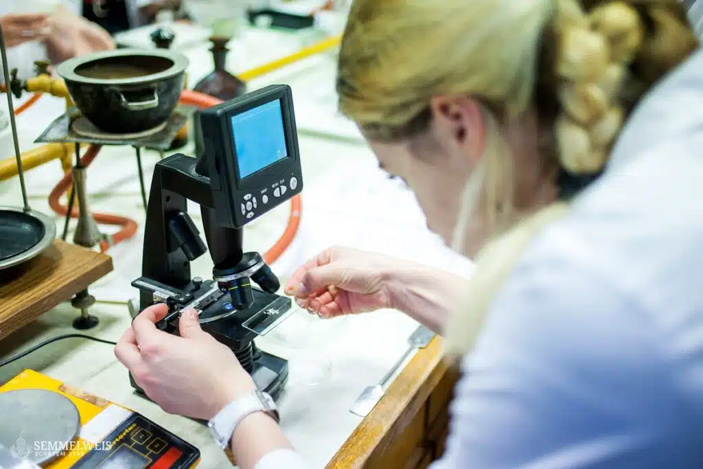 Humanmedizin Budapest