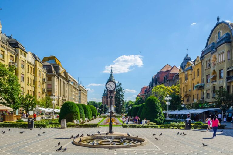 Medizinstudium Timișoara