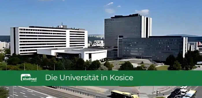 Medizinstudium in Kosice: Die Universität