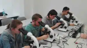 Mikroskopieren beim PreMed-Kurs 2017