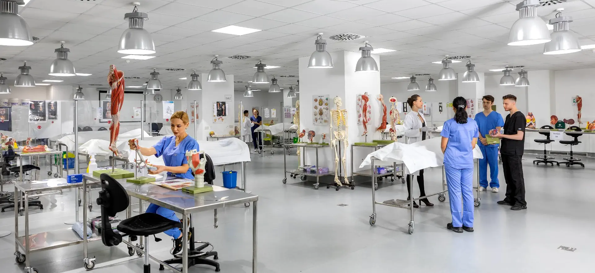 Anatomie Zentrum UNIC