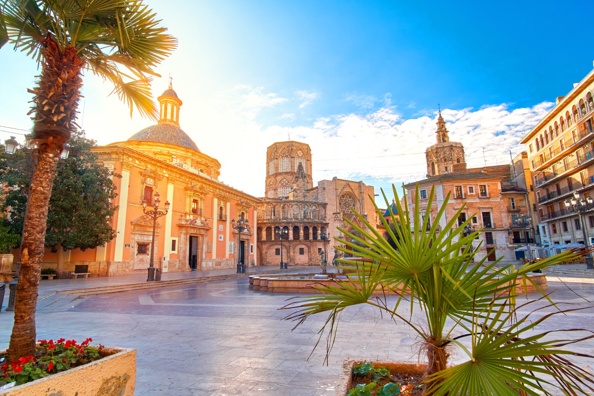 Valencia Spain Virgin Square Tiermedizinstudium in Valencia
