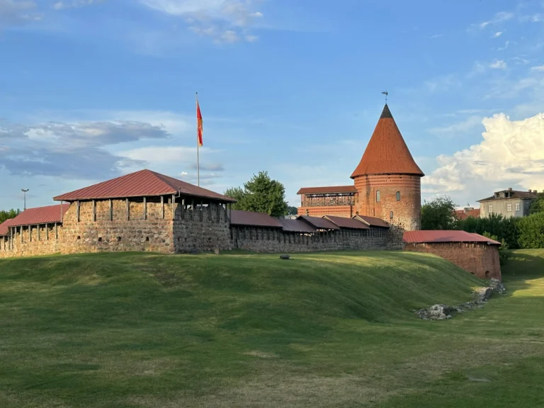 Medizinstudium Kaunas
