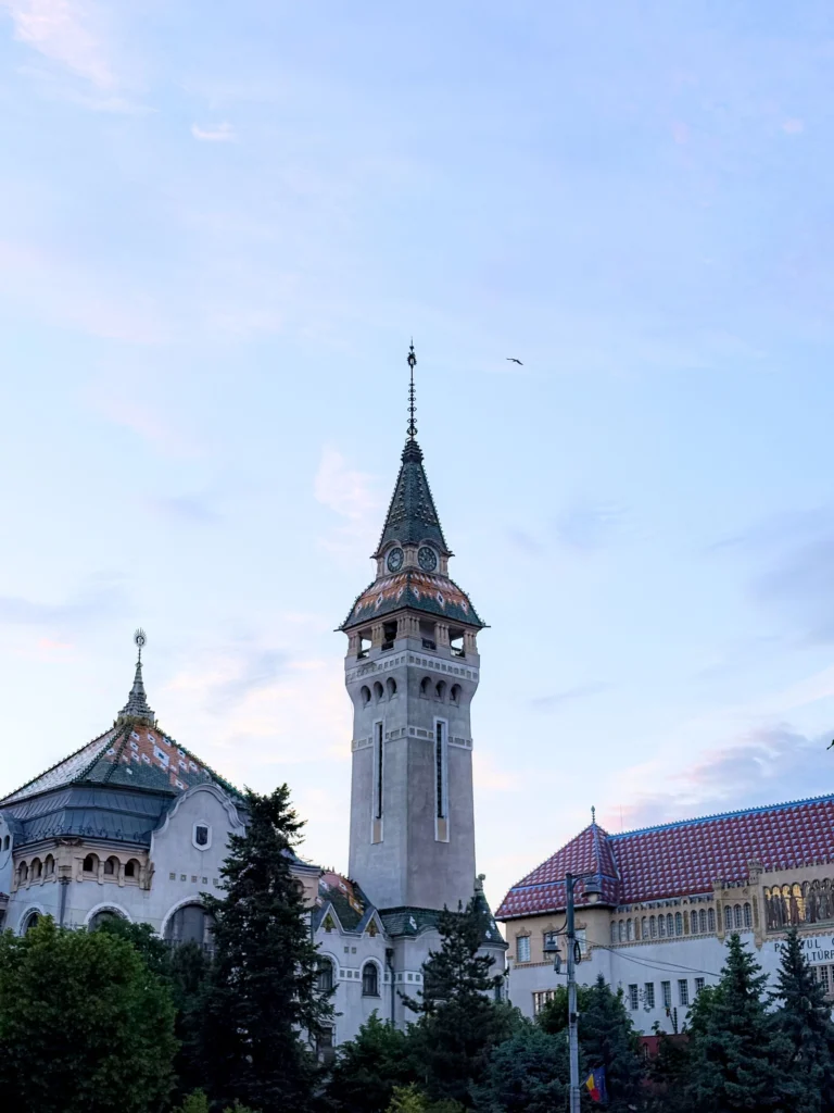 Medizinstudium Târgu Mureș